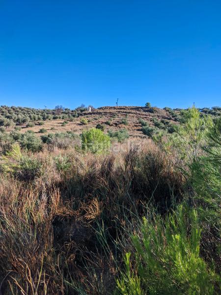 Foto 3dcc71bf-b89b-497f-a9d3-f556b7718faa. Propriété dans n/a dans Puente Jontoya - Puente de la Sierra - El Arroyo Jaén