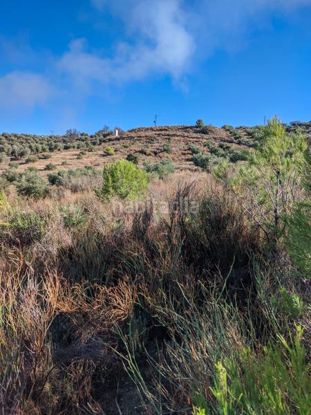 Foto 85fab9e9-67b6-409b-a061-c51104244a36. Propriété dans n/a dans Puente Jontoya - Puente de la Sierra - El Arroyo Jaén