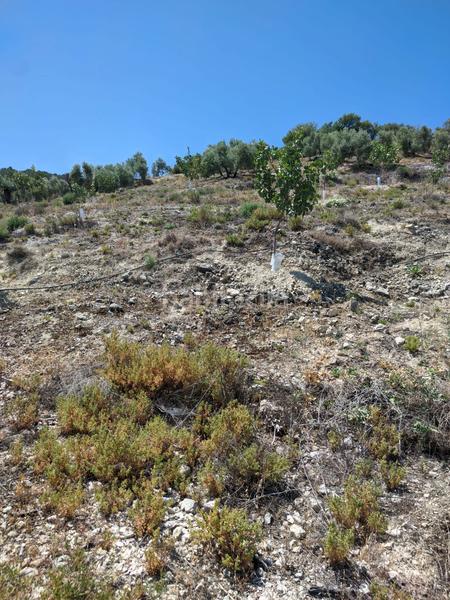 Foto bc96460b-3b7b-414f-b3ff-23cbe0f946cd. Propriété dans n/a dans Puente Jontoya - Puente de la Sierra - El Arroyo Jaén