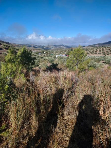 Foto cf24195a-a1de-4cc0-a709-b2b14662b74e. Propriété dans n/a dans Puente Jontoya - Puente de la Sierra - El Arroyo Jaén