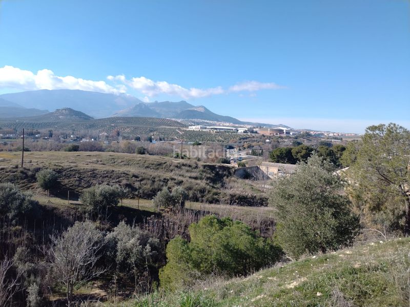 Foto 0ee74b7a-c43b-4e30-865d-563d9f32e4a8. Finca rústica a calle el yelmo 21 a Puente Tablas - Puente Nuevo - Cerro Molina Jaén