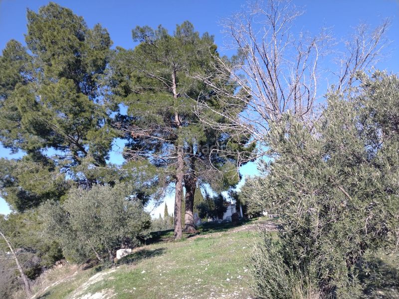 Foto 7d9b884c-42f4-4629-bb9b-b24ea2116b39. Finca rústica a calle el yelmo 21 a Puente Tablas - Puente Nuevo - Cerro Molina Jaén
