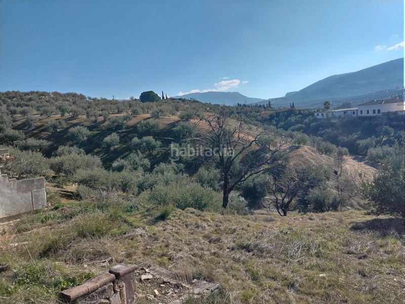 Foto 7f94f235-e414-41d2-bf30-c0c1438e9d8d. Finca rústica a calle el yelmo 21 a Puente Tablas - Puente Nuevo - Cerro Molina Jaén