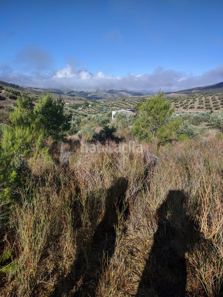 Foto 8a1f43d9-6705-4f14-b76e-51d392033e85. Finca rústica a Puente Jontoya - Puente de la Sierra - El Arroyo Jaén