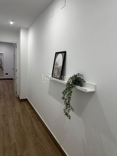 Foto 0b581cc6-3491-48ef-98e1-77ab65cd8251. Pis a San Bartolomé - Millán de Priego Jaén