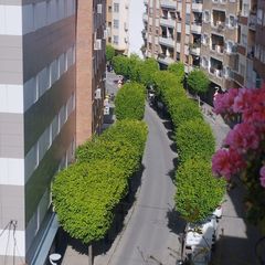 Flat in Calle Fuente de Don Diego 24