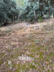 Mas à Alcantarilla - La Glorieta