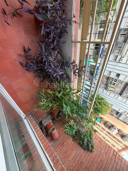 Foto 480b9655-77f9-4984-9a65-87626ef64e54. Pis a Hospital Jaén