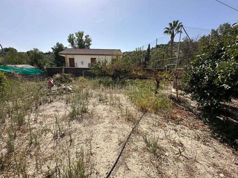 Foto 34558b81-30f0-44c6-be32-e368dca1689f. Chalet en Alcantarilla - La Glorieta Jaén