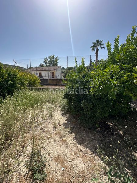 Foto 9ae0f198-9864-4156-9e66-34442d214ef1. Chalet en Alcantarilla - La Glorieta Jaén