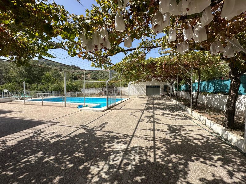 Foto b6a57be0-ec31-40bc-8faa-4c16313d607e. Chalet en Alcantarilla - La Glorieta Jaén