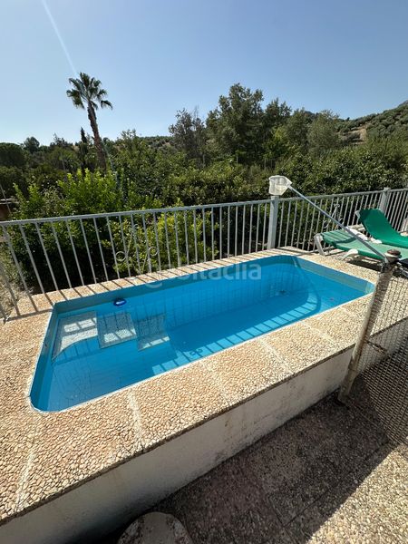 Foto f9da4bb2-e1d6-46f7-b56c-2f4a1deac119. Chalet en Alcantarilla - La Glorieta Jaén
