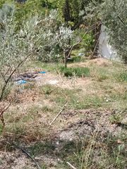 Finca rústica  Camino de las huertas grandes