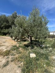 Chalet en Camino de las Huertas Grandes