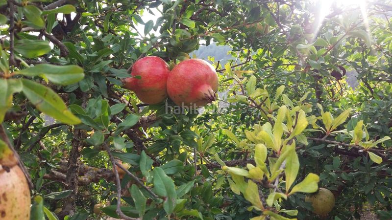 Foto 1fa94fc8-ab80-4764-b706-df52769e88f9. Finca rústica a Villamena