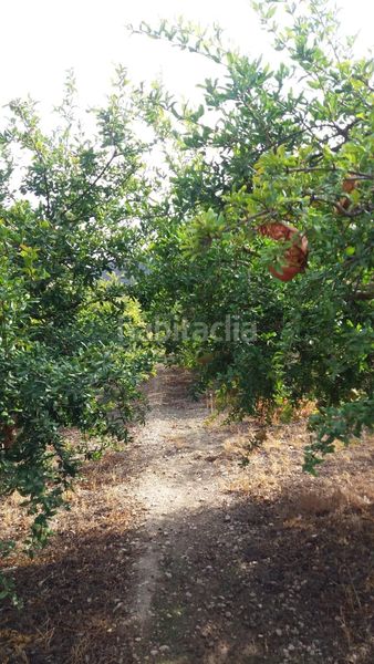 Foto 3ad9637b-6dff-477e-a961-4463fbed263b. Finca rústica a Villamena