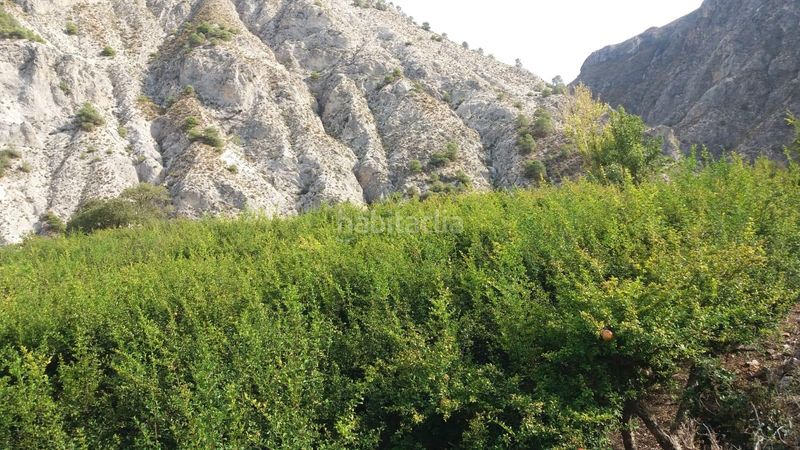 Foto 43ecc245-06b1-4a13-ab9c-0687fde56b07. Finca rústica a Villamena
