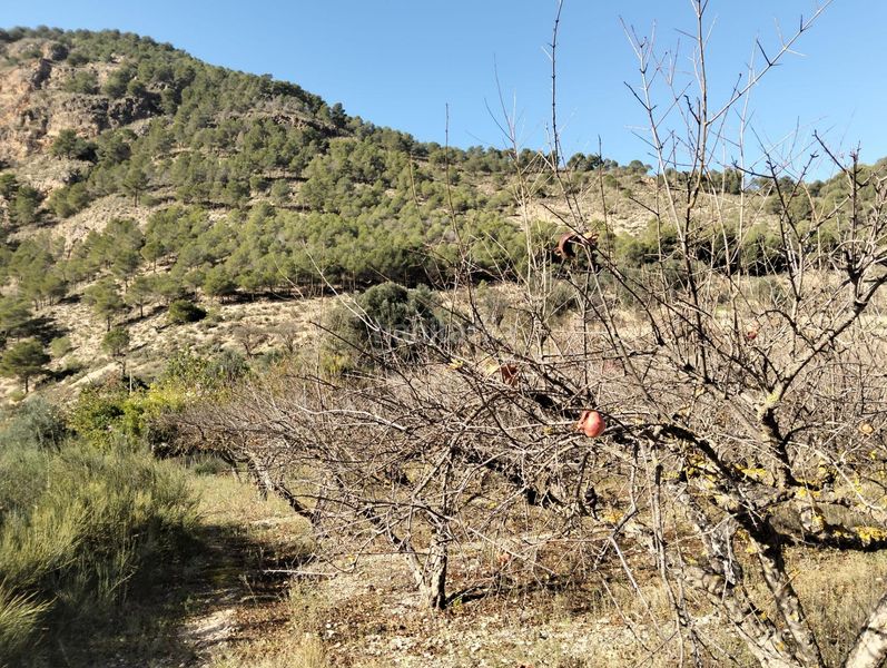 Foto f3aeb2ff-aa74-480f-913a-36599d0c434a. Finca rústica a Villamena