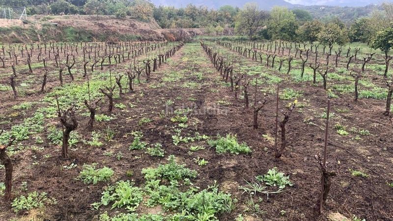 Foto 2389aad1-4bd7-4e5b-9ce8-0fde14d23beb. Masia a Valle (El)