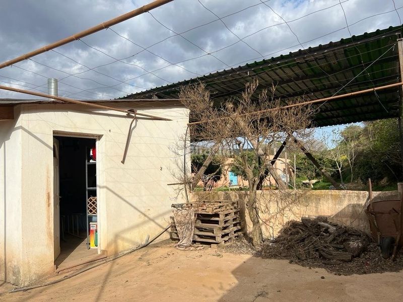 Foto 35752163-e2aa-41b5-8711-81515281f826. Masia a Valle (El)