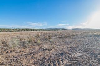 Terreny residencial a Escúzar. Venta de 21.500 m2 de suelo industrial en el parque metropolitra