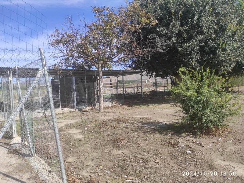Foto 000012ed-9433-4806-b4d1-6f8e3253ff7d. Casa preciosa casa rustica en la vega de granada con mucho espacio en Fuente Vaqueros