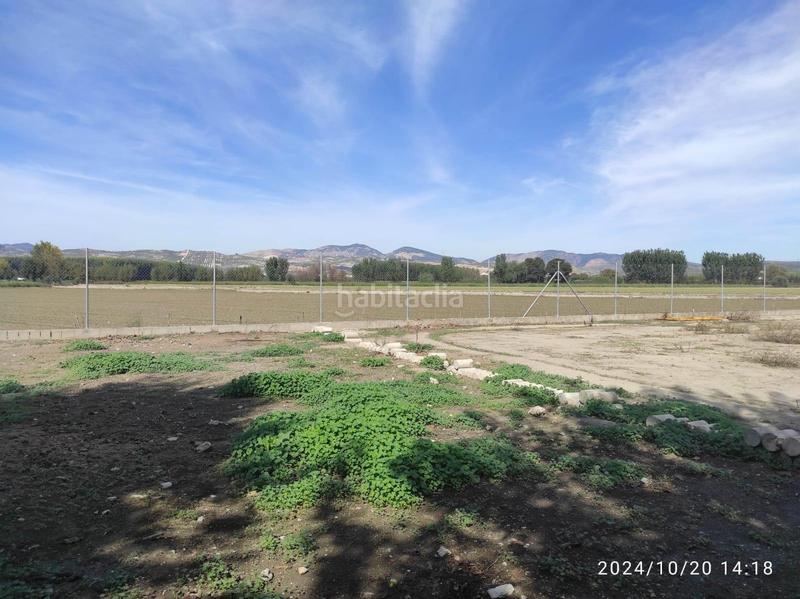 Foto 15afd5cb-7ac3-4e12-8f60-d28312a7d9dd. Casa preciosa casa rustica en la vega de granada con mucho espacio en Fuente Vaqueros