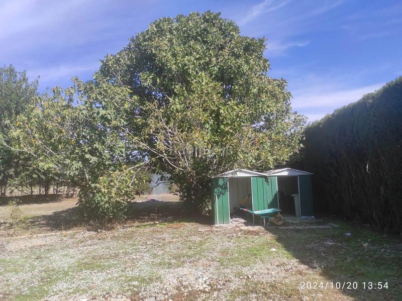 Foto 4cdd3ae0-1aa6-4bc8-a28a-d80699e16a0e. Casa preciosa casa rustica en la vega de granada con mucho espacio en Fuente Vaqueros