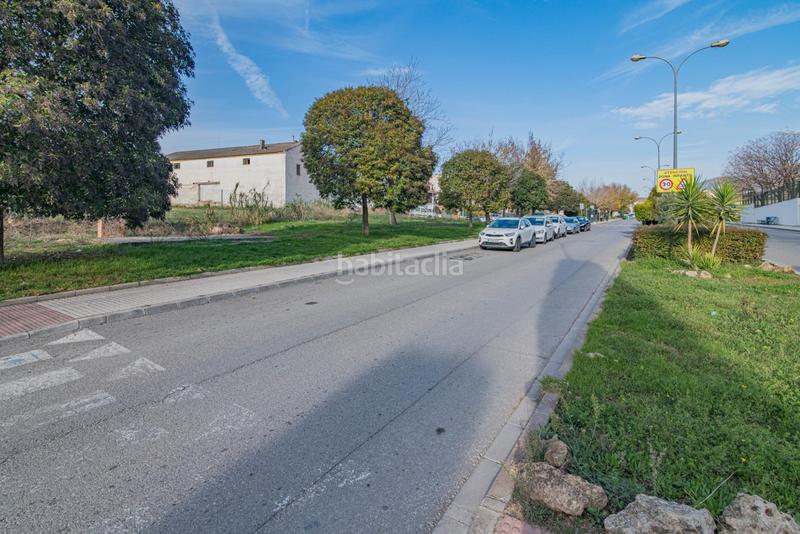 Foto ecb4ee42-670f-4c25-b9ed-7505ac996c34. Wohngrundstück in Peligros