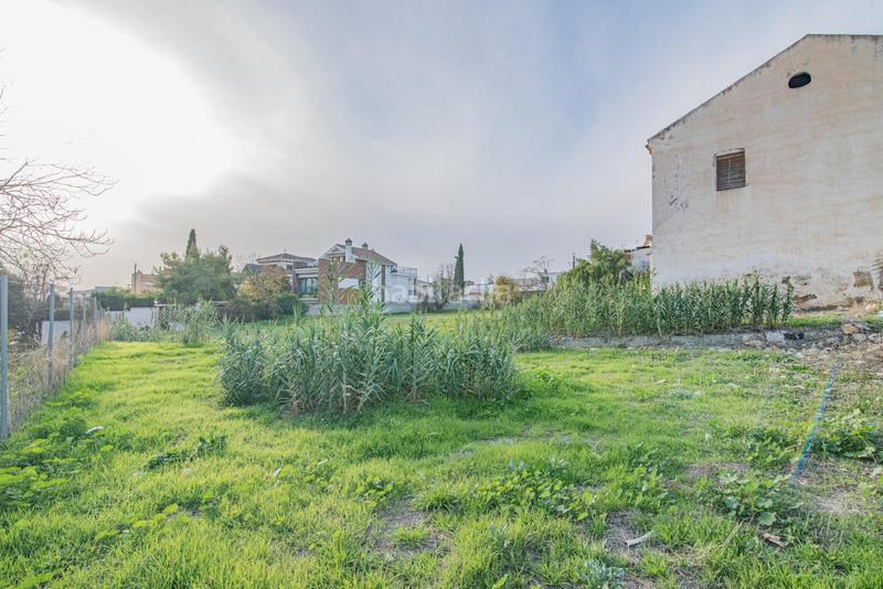 Foto fdac4c5c-e424-4c62-aad6-d9e8dac65e24. Wohngrundstück in Peligros