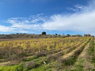 Finca rústica a Moraleda de Zafayona. Venta de 21 aranzadas de tierra carma con riego y  cortijo con l