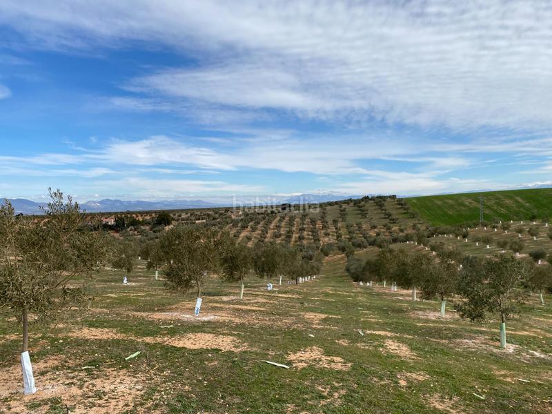 Foto 033bb782-d869-4bec-8cfe-768906214a8f. Propriété dans Salar