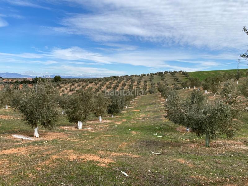 Foto 325a06d2-275e-42f7-ac88-b6448dcba62f. Propriété dans Salar