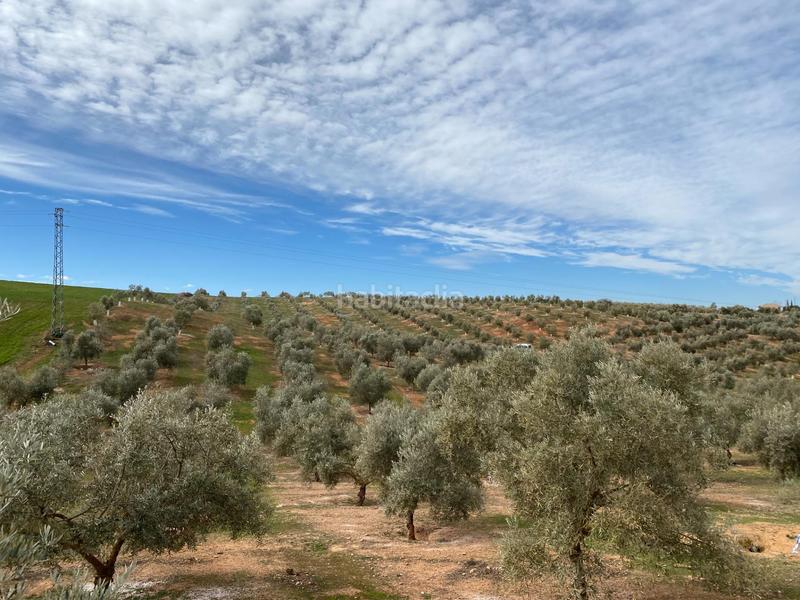 Foto 56b717ba-1cc7-46fb-be10-116af64bff3b. Propriété dans Salar