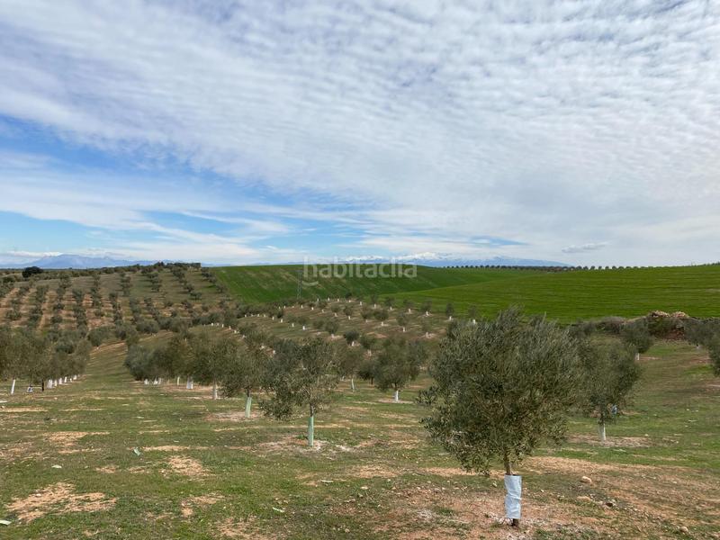 Foto 98d8d2c3-4748-43a6-a8f6-f93c2ea2961e. Propriété dans Salar