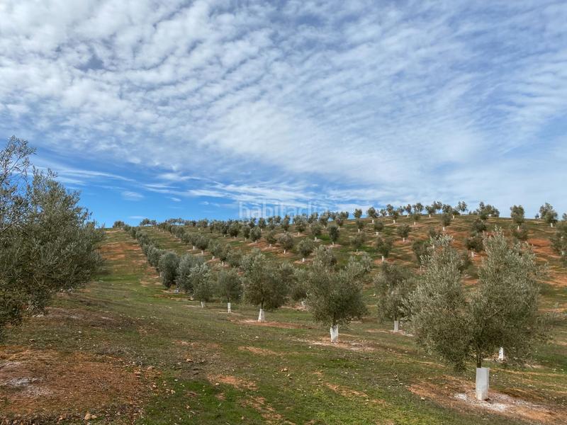 Foto 9b624f88-7bb3-402c-94ff-1b7ad0ca1f3d. Propriété dans Salar