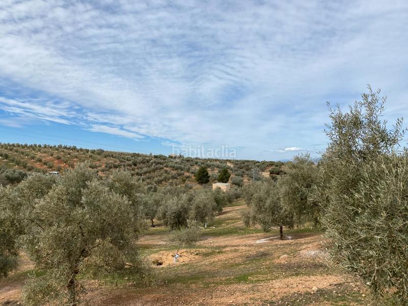 Foto 9cc17a8c-2c58-4ecf-936d-96110daf74c2. Propriété dans Salar