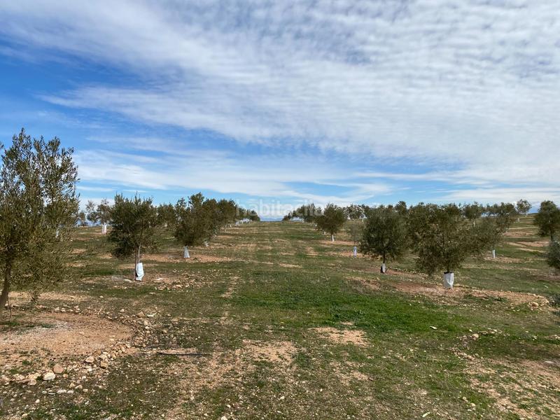 Foto b6a82355-e322-42b6-a45b-49e4053f5d4f. Propriété dans Salar