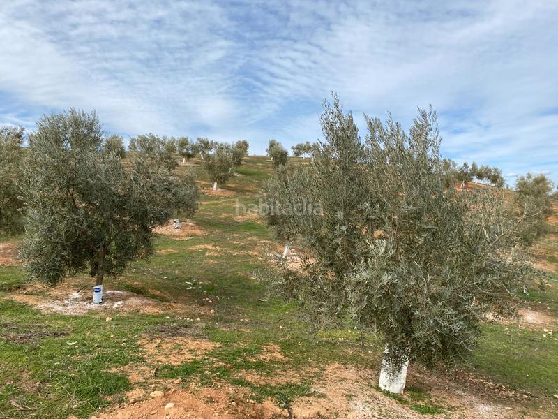 Foto fa2ac03f-910e-477d-80d7-306594662fc3. Propriété dans Salar