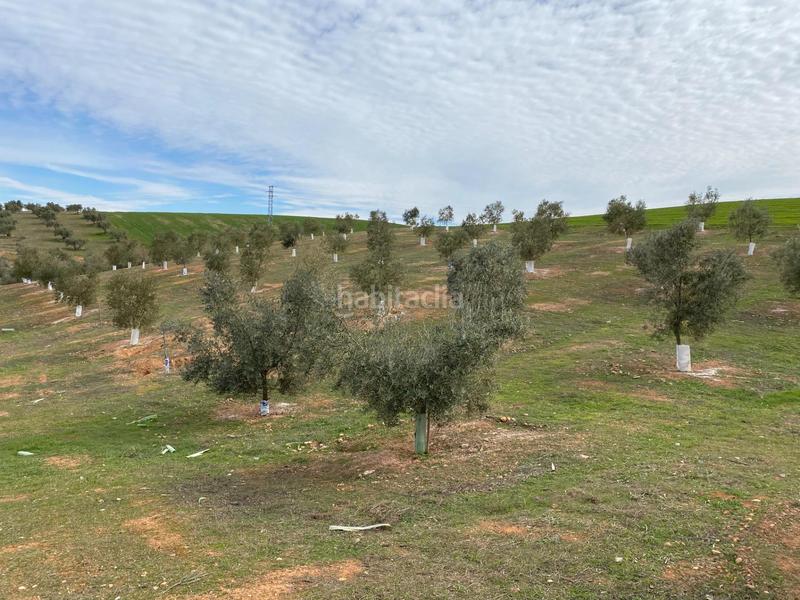 Foto fd05bf47-80e5-4ca9-b467-bc669e957119. Propriété dans Salar