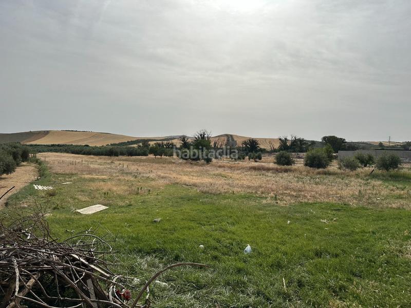 Foto 5079333e-8200-4b2b-9adb-acabf46ea80e. Terrain résidentiel dans Chimeneas