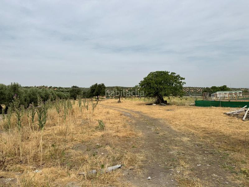 Foto 68dc2526-7927-4d02-86e9-b94514c75e49. Terrain résidentiel dans Chimeneas