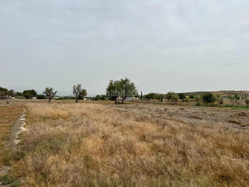 Foto 7ebad3d8-335a-402d-aba4-ad273ba0582c. Terrain résidentiel dans Chimeneas