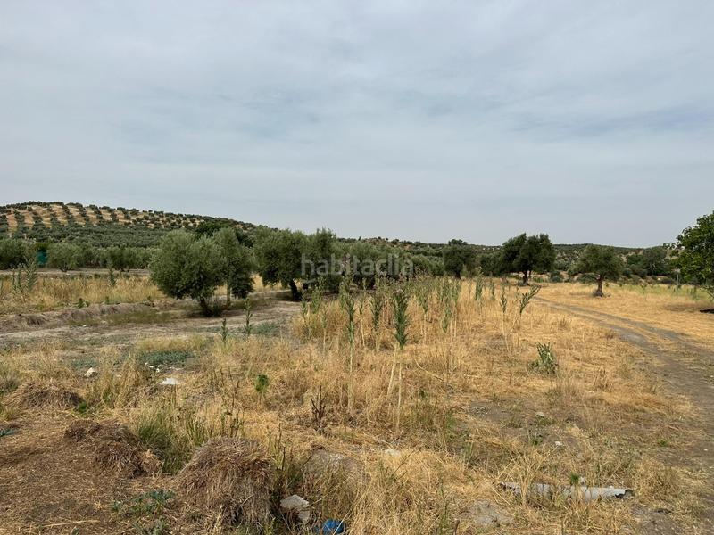 Foto 867027e0-bde4-4409-ad74-b8d9793a3563. Terrain résidentiel dans Chimeneas