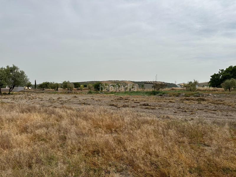 Foto 876c192f-763a-4fc5-9019-ad146b9c34fd. Terrain résidentiel dans Chimeneas