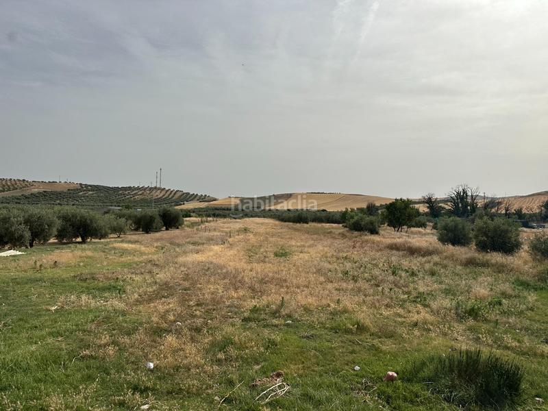 Foto 87daf8bf-f84a-496b-baa9-95140496dd48. Terrain résidentiel dans Chimeneas