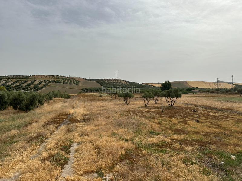 Foto 8c1ea0ec-e339-4f31-9671-8b3c0980c2dc. Terrain résidentiel dans Chimeneas