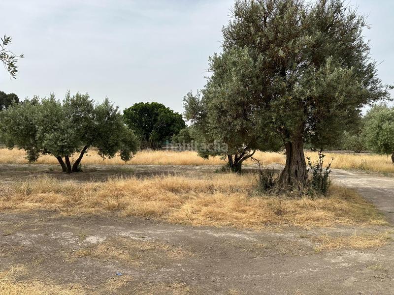 Foto 8f3c8822-ade4-43c8-ba2e-803906c3b351. Terrain résidentiel dans Chimeneas