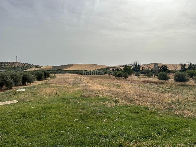 Foto 95772d5f-b113-4531-afc5-35e0127d1ab5. Terrain résidentiel dans Chimeneas