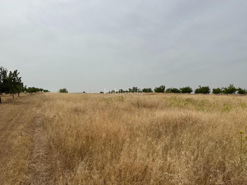 Foto a24567c9-477f-435c-9b47-b8869aa8b05b. Terrain résidentiel dans Chimeneas